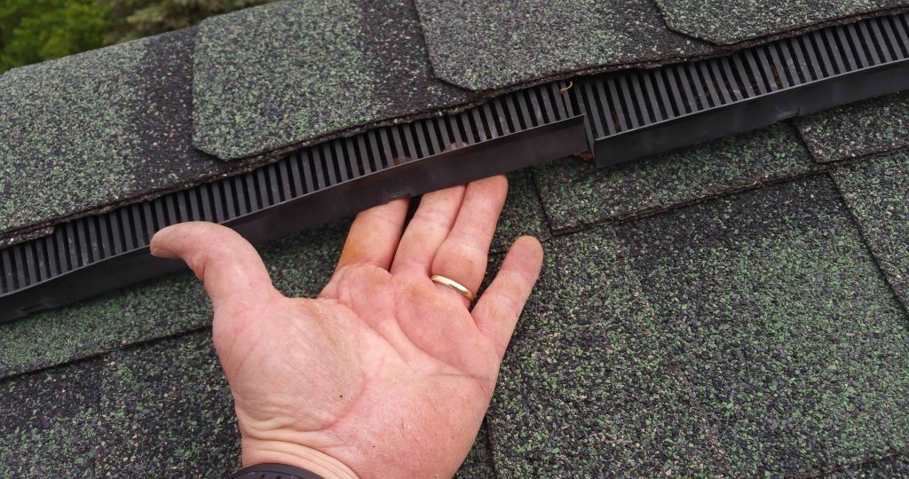 Bat Proofing & Roofline Sealing
