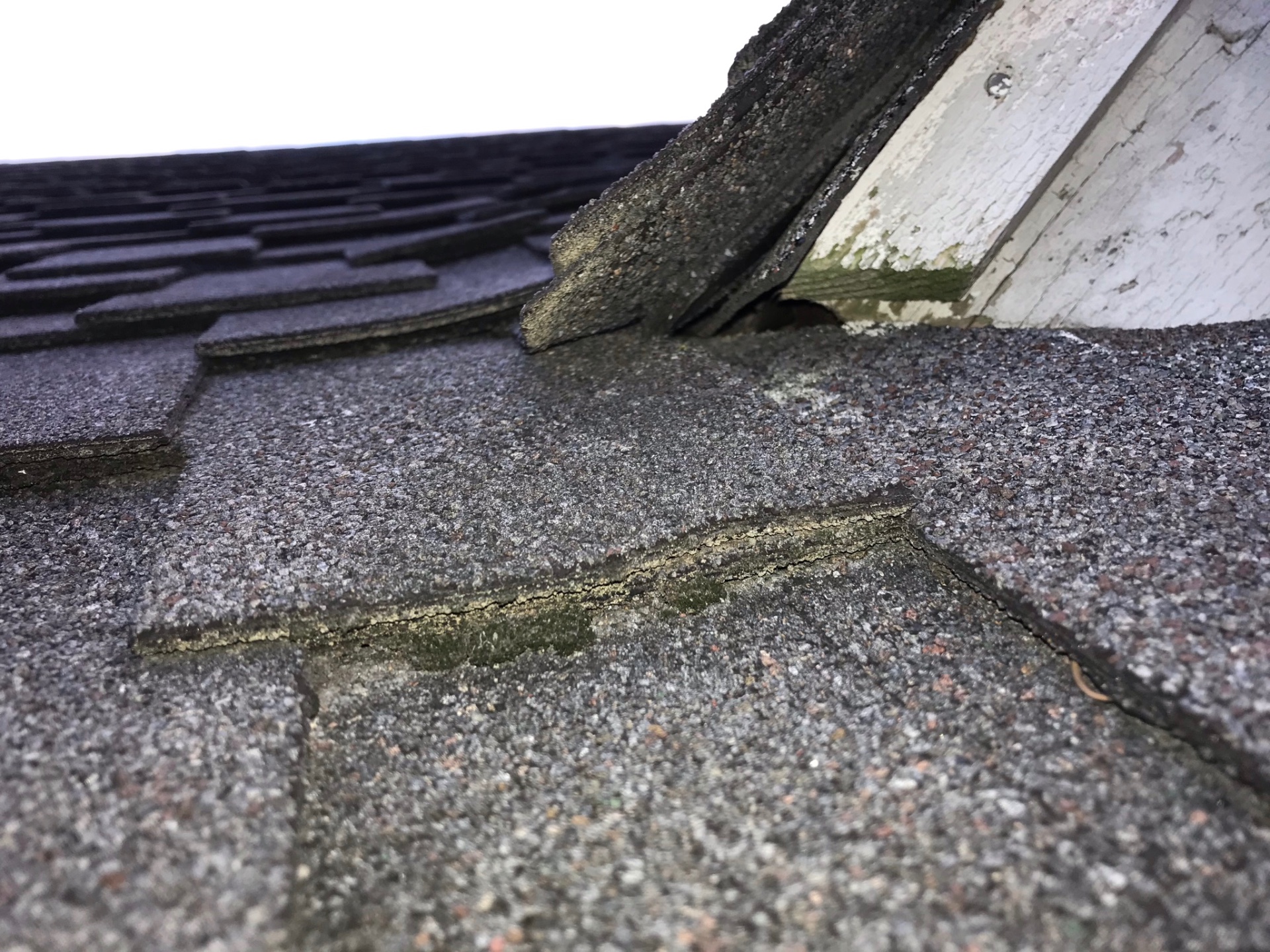 Separated shingles at a roof-to-trim junction
