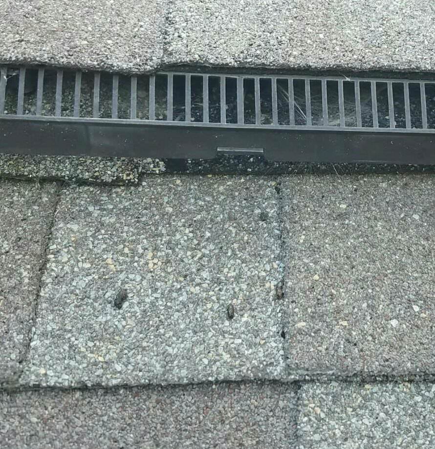 Bat droppings on shingles below a screened roof vent, an example of evidence found during a bat inspection