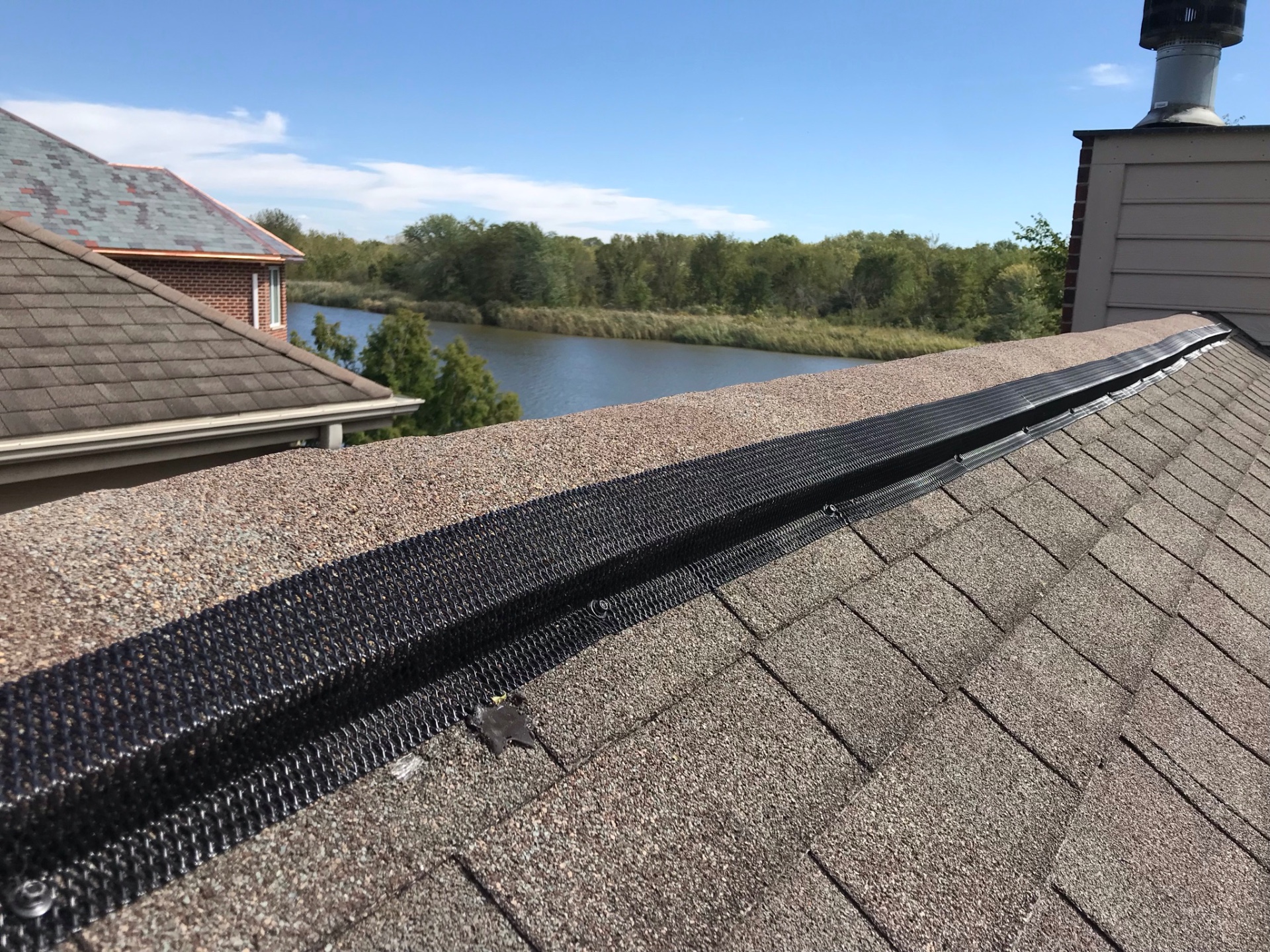 Ridge guard mesh installed along a shingle roof ridge, part of bat exclusion work in Ninilchik, AK