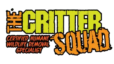 The Critter Squad Inc. certified humane wildlife removal specialist